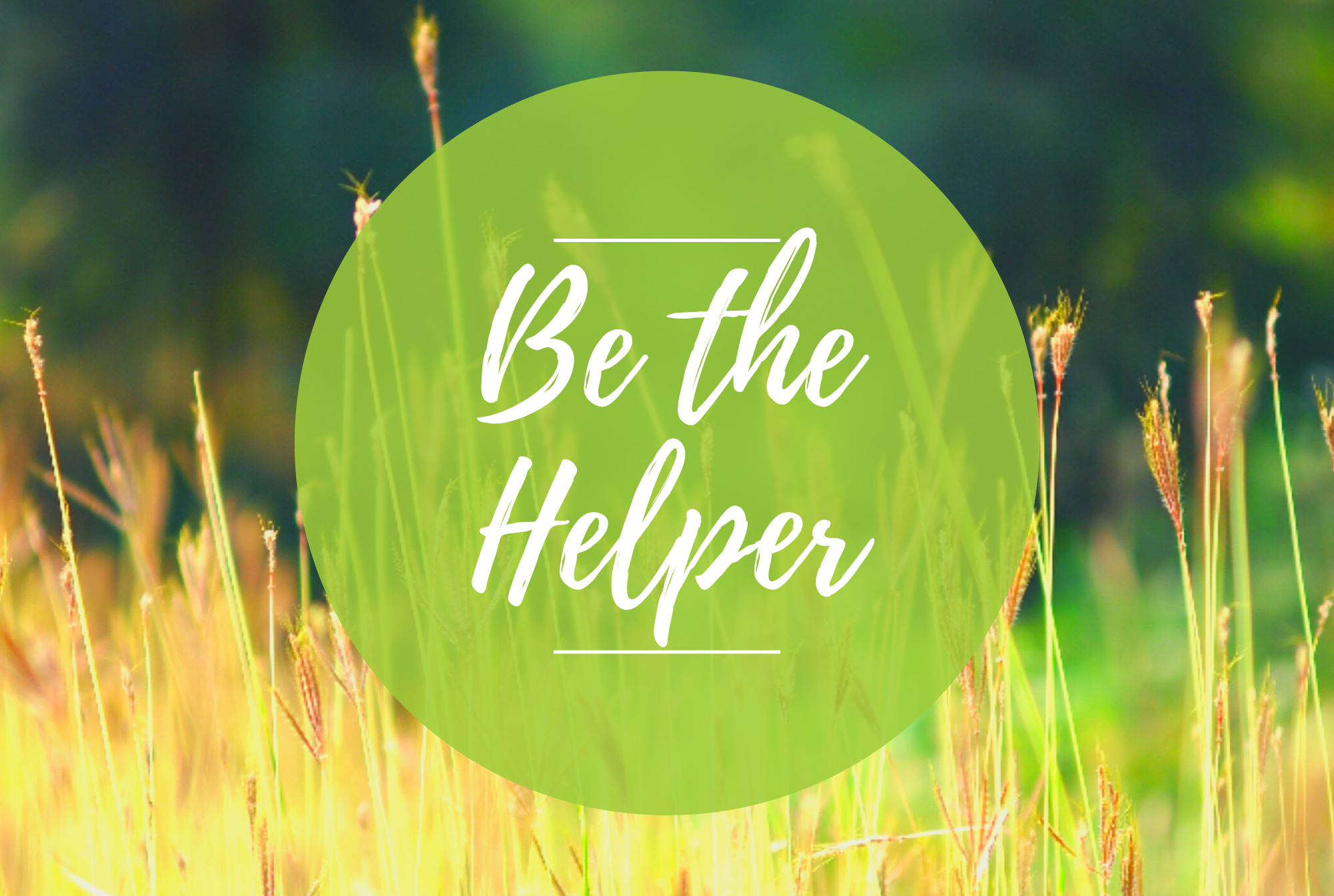 BH Office Be the helper Blog Header